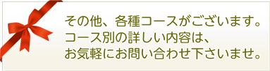 その他、各種コースがございます。コース別の詳しい内容は、お気軽にお問い合わせ下さいませ。